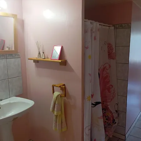 La Vie En Rose Apartment *